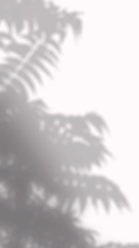 Soft fern leaf shadows moving gently on a clean white wall for aesthetic desi Vídeos de archivo 346907590