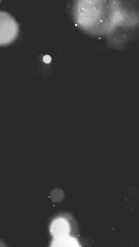 Soft Floating Light Particles Alpha Layer | Vertical Slow Motion Filter Stock Footage 320182630