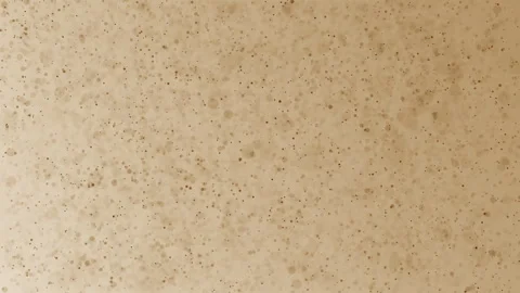 Soft Floating Particles Abstract Background Stock Footage 340410120
