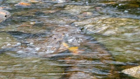 Soft Flow: Low-Shutter Stream Ripple in Motion Stock-Fotos