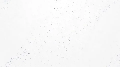 Soft Flowing Particles White Loop Background Stock Footage 274420768