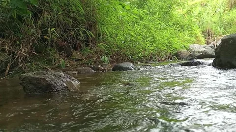 Soft Flowing Stream Water Over Natural Rocks Stock Footage 330335866