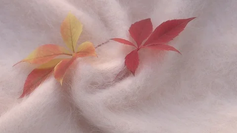 Soft fluffy jersey rotates. Soft Wool background. Video stock 118673211