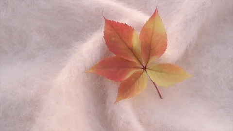 Soft fluffy jersey rotates. Soft Wool background. Video stock 118859114