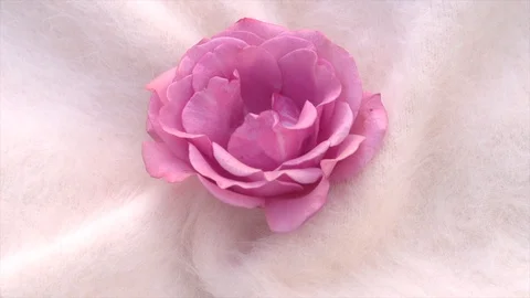 Soft fluffy jersey rotates. Soft Wool background. Video stock 120193926