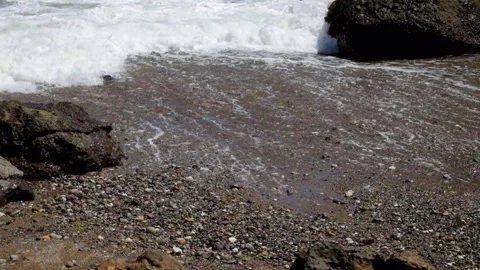 Soft, foamy ocean waves crashing into the rocks and sand of the beach Stock Footage 319803052