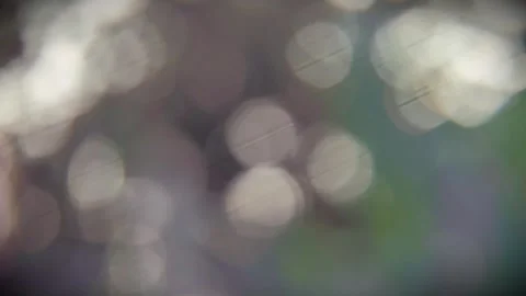 Soft focus abstract bokeh lights shimmering and dancing in the breeze, natu.. Stock Footage 346718816