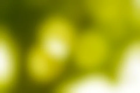 Soft Focus Abstract of Lime Green and White Hues Background Stock Photos