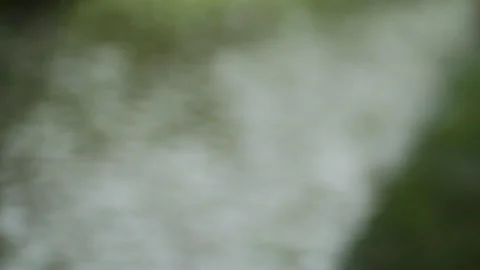 Soft focus background of heavy rain falling on a lawn Stock Footage 272347697