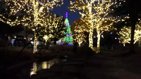 Soft focus on Christmas tree of green lights, silhouettes, change to sharp focus Vídeos de archivo 145110620