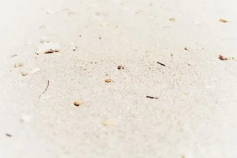 Soft Focus Closeup of Pale Sand on Tropical Beach Stock Photos