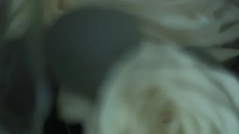 Soft Focus Closeup of White Roses Stock Footage 313227080