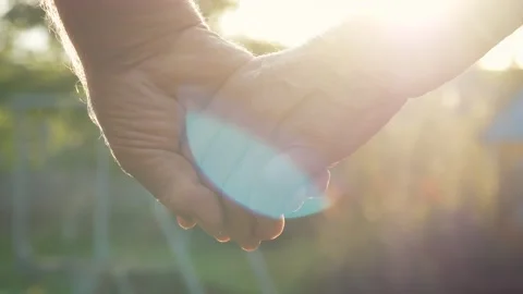 Soft focus connection of senior hands during evening in garden Stock-Footage 329942106