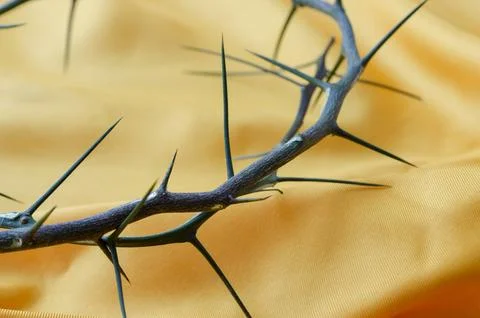 Soft Focus Crown of Thorns on Yellow Silk Fabric Concept. Stock Photos
