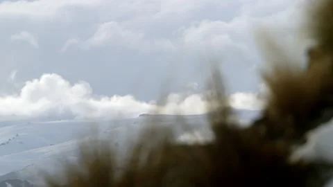 Soft focus foreground alpine plants with snow hills and clouds in distance Stock Footage 159696976
