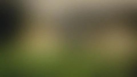 Soft Focus Gradient Background With Grainy Texture And Earth Tones Keywords.. Stock Illustration