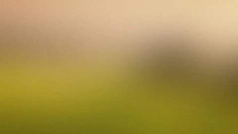 Soft Focus Gradient Background With Yellow and Beige Tones image stock Stock Illustration