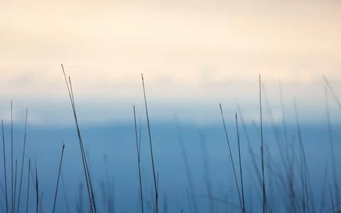 Soft focus on grass with blurry background of blue mountain and orange sky. Stock Photos