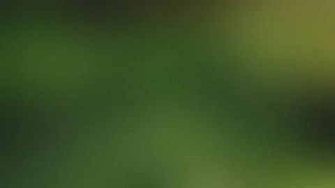 Soft Focus Green Gradient Background With Subtle Texture abstract blur Stock Illustration