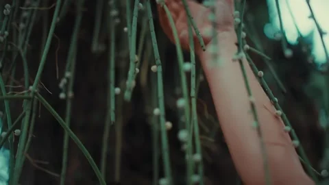 Soft focus on hand reaching for string of pearls 動画素材 336976046