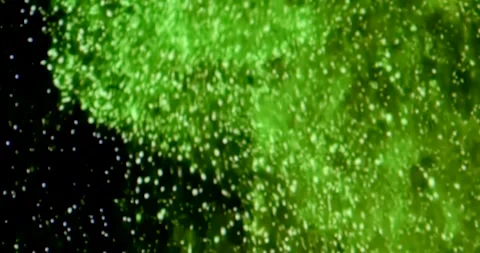 Soft focus name movement engaging video features dynamic green background captiv Stock Footage 295933224