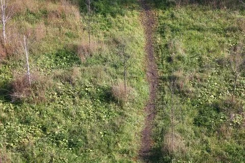 A soft focus of a narrow dirt path through a field of beautiful flowers in sp Stock Photos