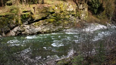 Soft focus river and background. Stock Footage 50061647