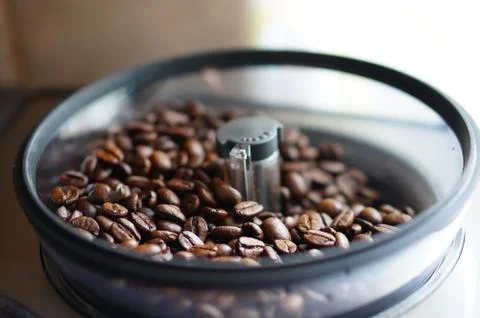 Soft focus of roasted coffee beans in a coffee grinder 写真素材