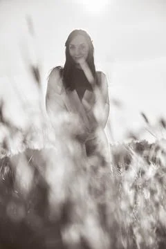 Soft-focus rye field portrait in backlit sunlight Stock Photos