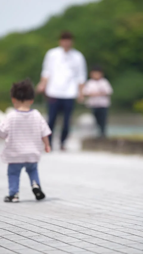 Soft focus shows toddler walking on stone path Stock-Footage 339833237
