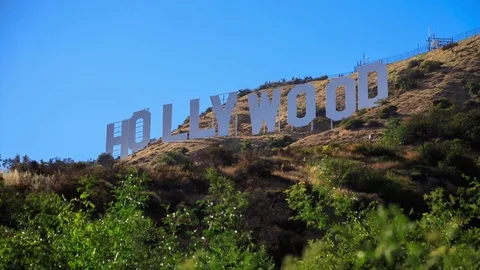 Soft focus side Hollywood Sign view on a blue sky day with focus rack to plants Stock Footage 76546261