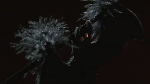 Soft focus textile bat halloween decoration moving in the wind Stock-Footage 67408587