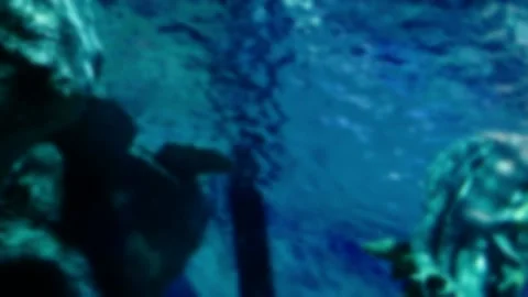 Soft-Focus Underwater View of Water's Surface at a Large Public Aquarium Stockbeeldmateriaal 138212422