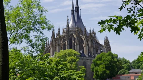 Soft Focus View of Kutná Hora Cathedral Behind Foreground Leaves Stock Footage 313880688
