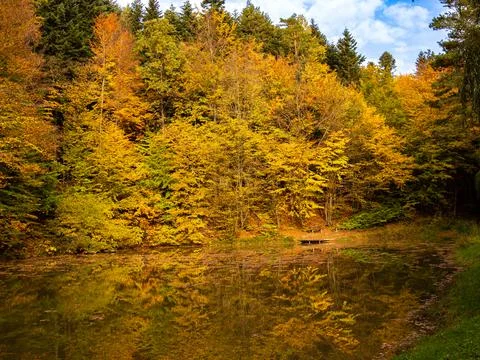 SOFT FOCUS, wonderful autumn landscape of reflected trees in a small lake Stock Photos