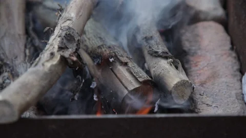 Soft focused close up shot of dry tree branch burning Stock Footage 194146793
