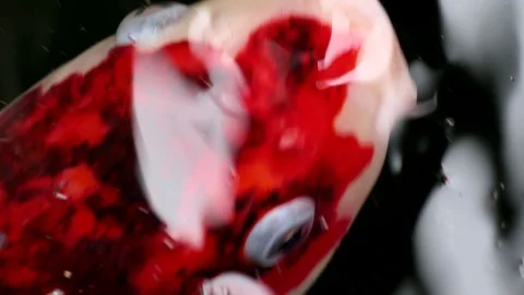 Soft-focused variety Koi carp fishes swim in particle floating green water Video stock 101147733