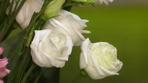 Soft full blown white roses as a background. Stock Footage 120289988