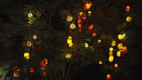 Soft glowing paper lanterns hanging from tree branches, casting warm colored Stock Footage 315525389