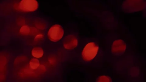 Soft, glowing red bokeh lights create an abstract and warm atmosphere agains Stock Footage 316131446