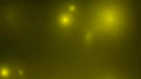 Soft Glowing Yellow Bokeh Particles Animation Clip Stockbeeldmateriaal 331716494