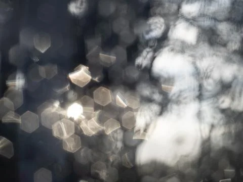 Soft gold hexagonal bokeh light through trees Foto stock