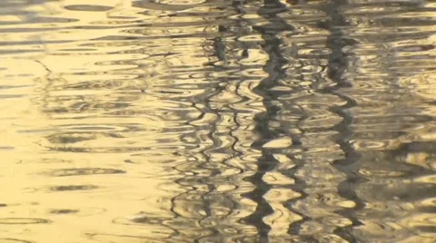 Soft gold lazy reflections in calm water Video stock 38502333