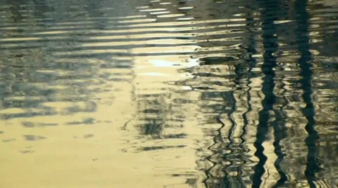 Soft gold lazy reflections in calm water Stock Footage 38506891