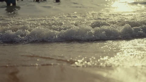 Soft golden rays illuminating sandy coastal landscape, rolling waves forming Stock Footage 308515385