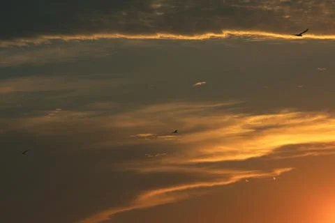 Soft golden sunset clouds over Vlora, Albania on  August 2025 Stock Photos