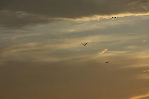 Soft golden sunset clouds over Vlora, Albania on  August 2025 Stock Photos