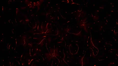 Soft Gradient Abstract Red Motion Graphics Fluid Organic Lines and Luminous.. Stock Footage 331087299