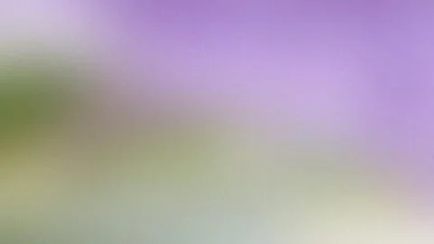 Soft Gradient Background With Purple And Green Hues And Grain abstract textur Stock Illustration