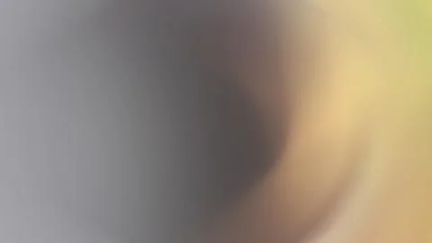 Soft gradient background with warm, inviting tones for a calming and modern Stock Illustration